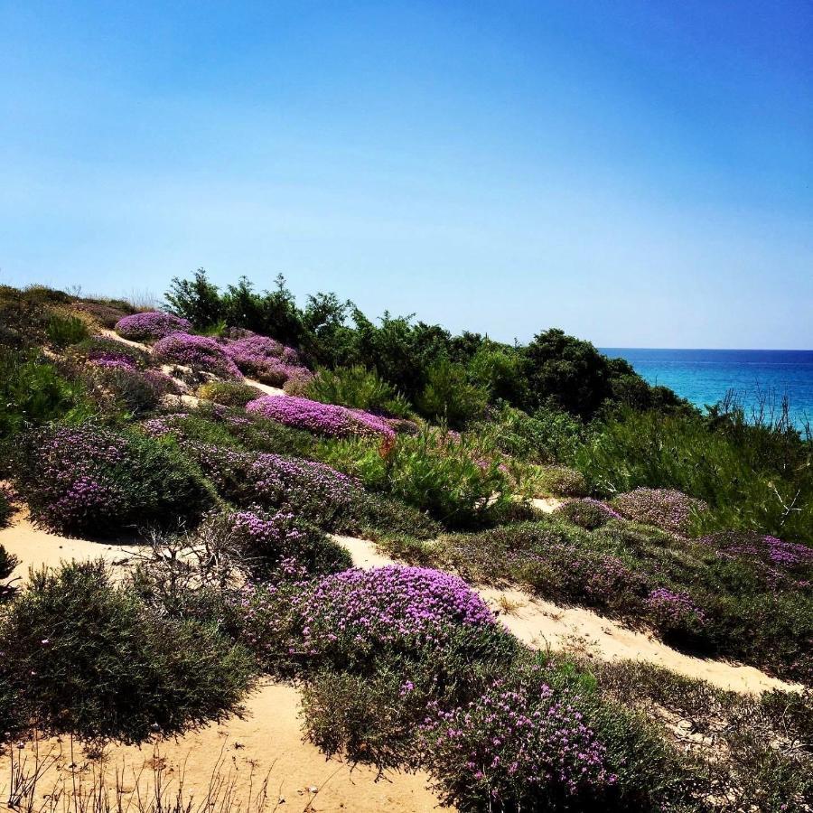 Corte Del Sole Manduria Dış mekan fotoğraf