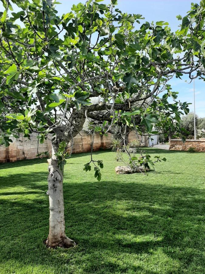 Corte Del Sole Manduria Dış mekan fotoğraf